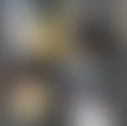 Own a Pony in February half term!