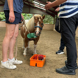 Horses are good for you…