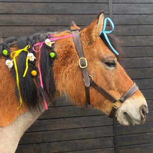 🐣 Happy Easter! 🐣