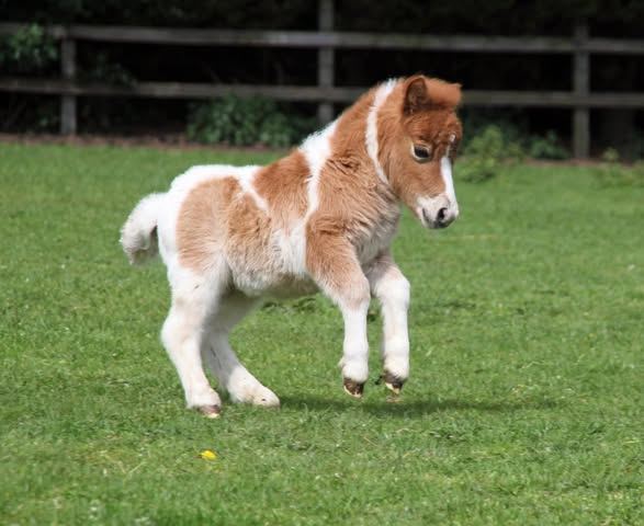 Look at baby Watson!!