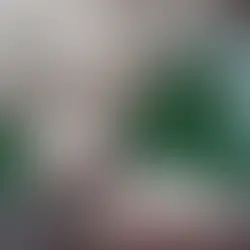 Zoomis gidas: žuvų taukai ir Omega 3-6-9 riebalų rūgštys šunims: kurios, kodėl ir kiek?