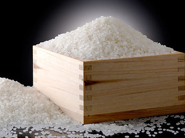 精米したてのコシヒカリ