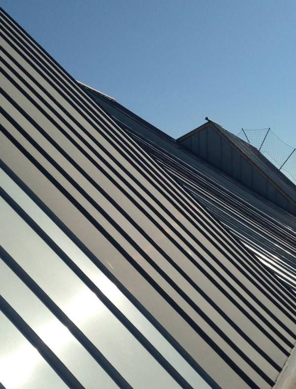 Stehfalzschare und Walzzink