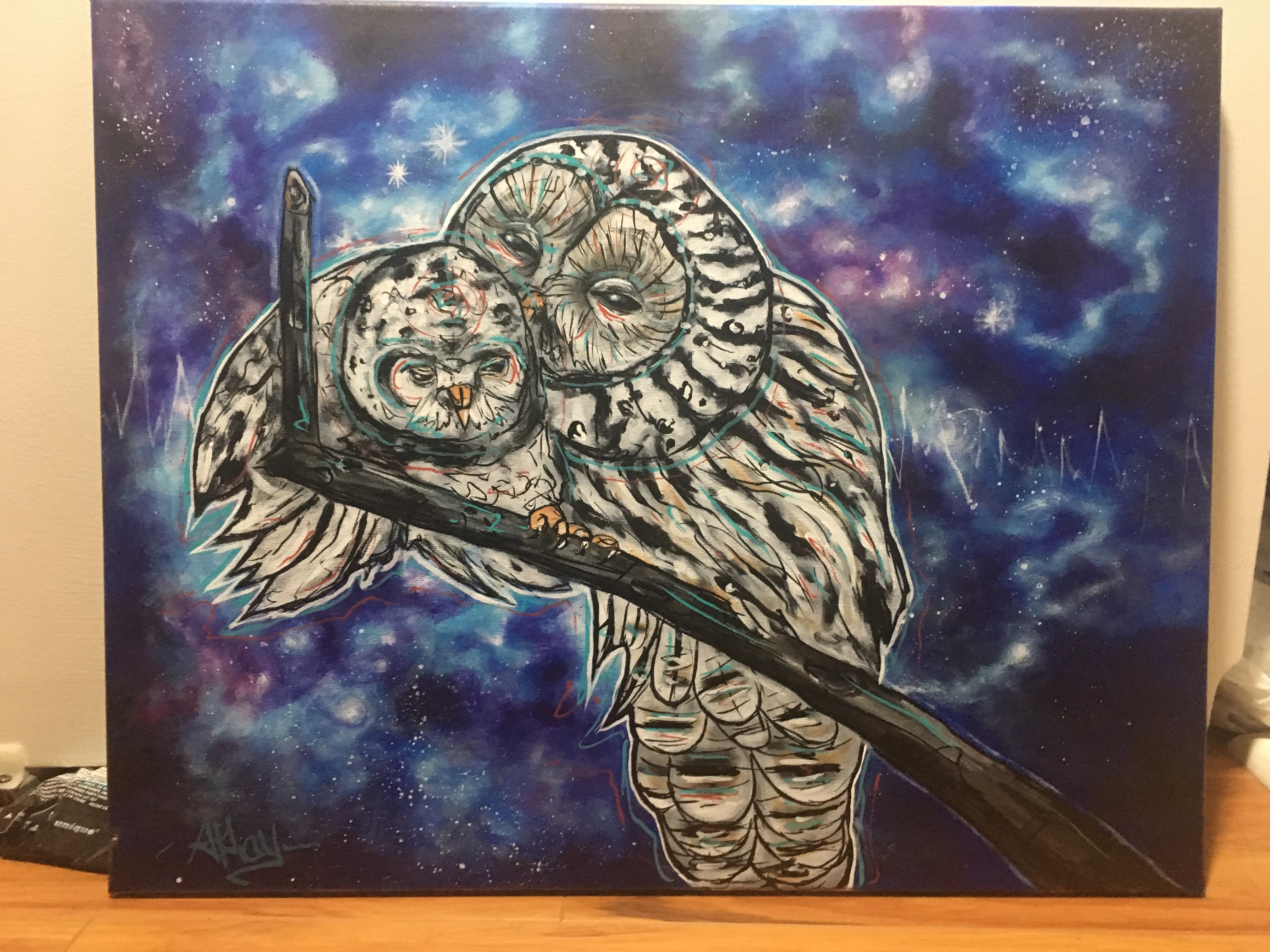 not owls
