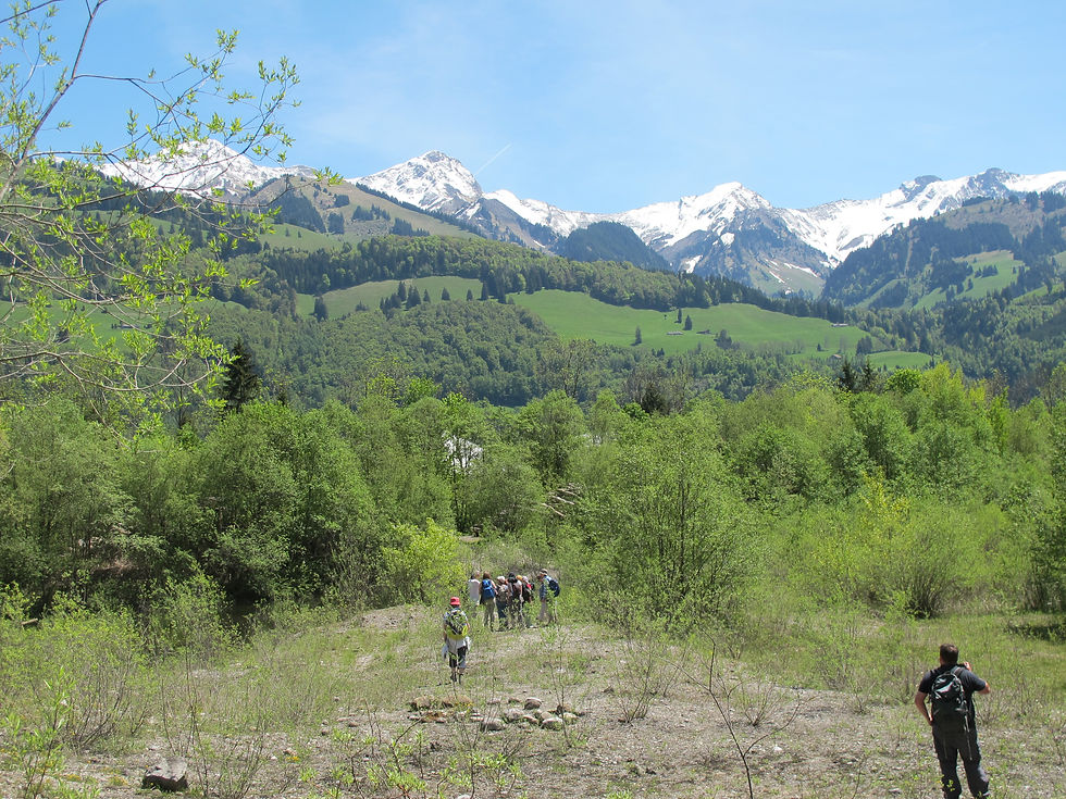 Vue sur les Préalpes