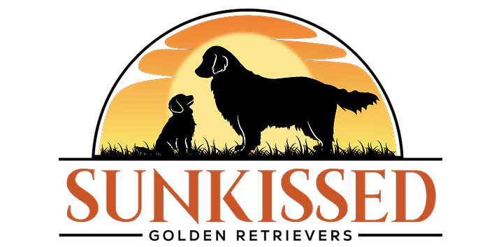 SunKissed-Golden-Retrievers_final_cropped.png