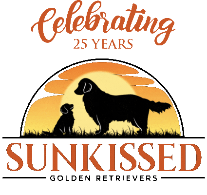 Celebrating 25 Years