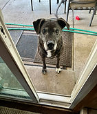 IMG_5025.jpeg