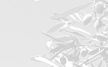 Capture d’écran 2024-08-16 à 11_edited_edited_edited.jpg