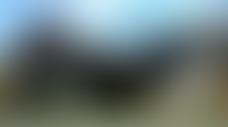 Common reasons why home buyers walk from their dream home