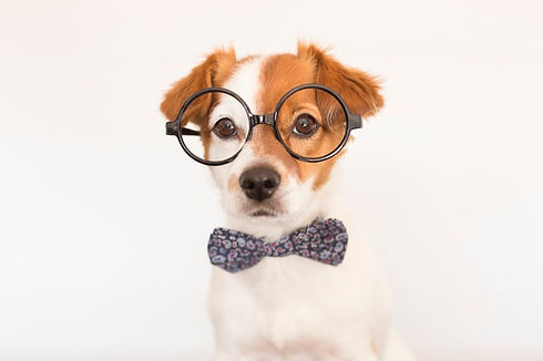 LENTES.jpg