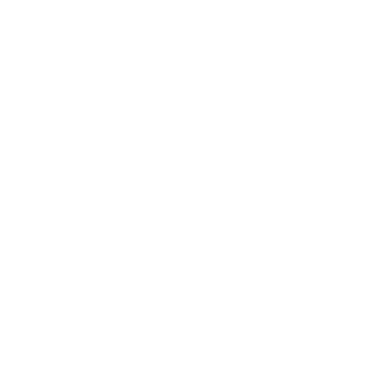 network icon.png