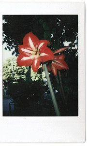 IMG_4718 15_edited_edited_edited.jpg