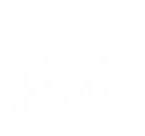KA Plus-10_edited.png