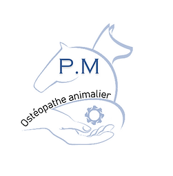 LOGO P.M (1).PNG