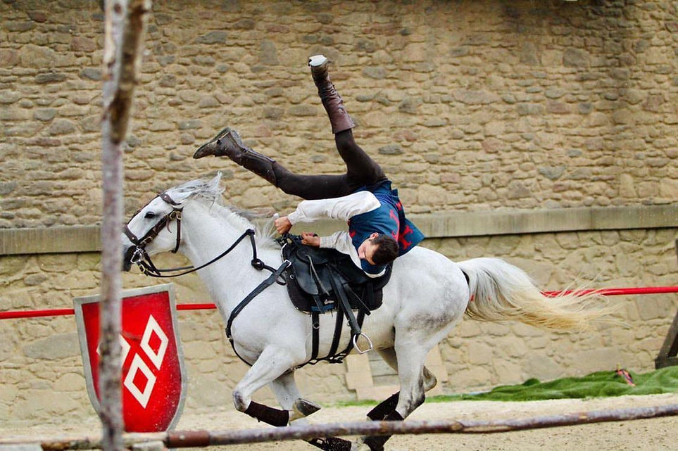 Puy du fou.jpg