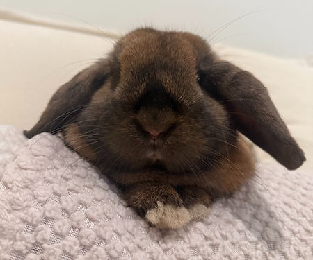 IMG_2724 (1)_edited.jpg