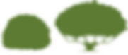 Sin título-6.png