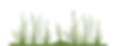 Sin título-4.png