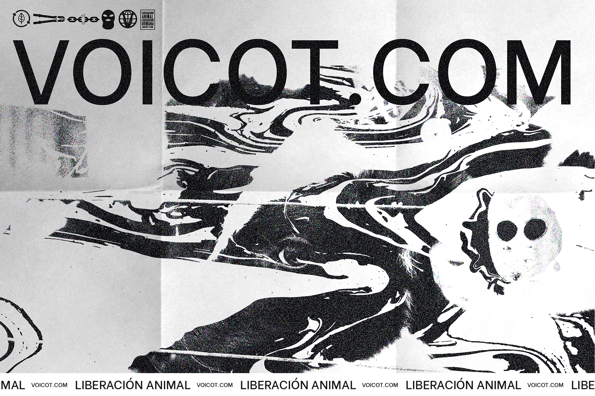 05_Gif_1500x1000_Voicotcom.gif