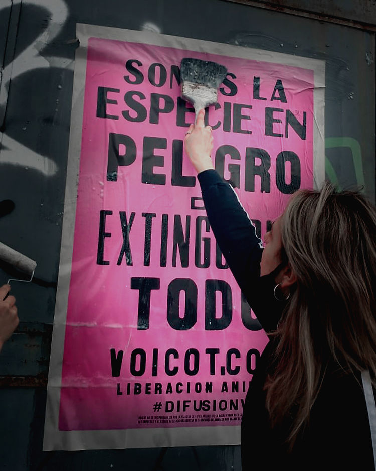 afiche vp 01 copy.jpg