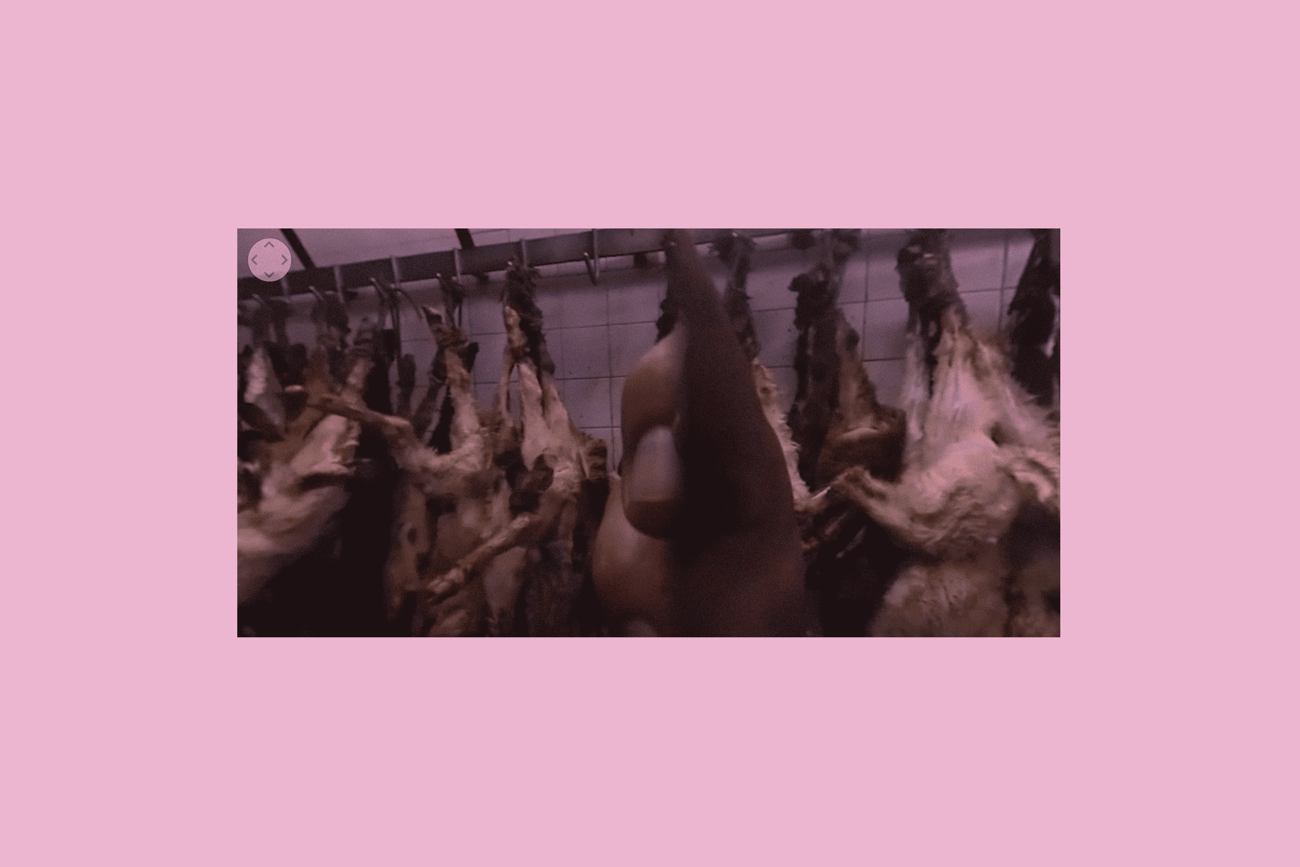gif-matadero.gif