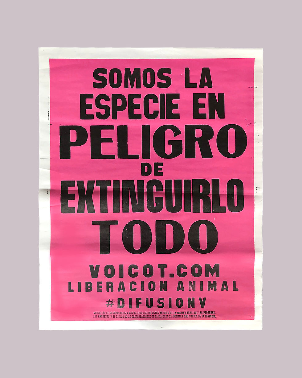 05 afiche somos la especie
