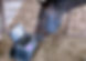Equestrian Technology Services