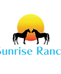 RealLogoEdited-removebg-preview_edited_e