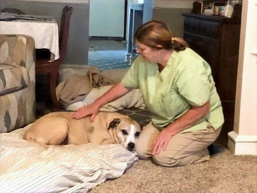 DogTreatmentNew_edited.jpg