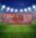 spain team pack euro 2020.png