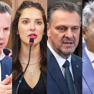 barões do agro senado mt