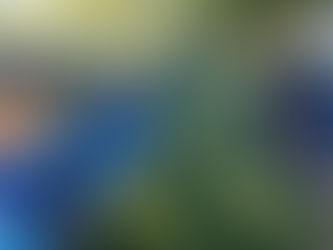 copa trairão de base alta floresta 2026