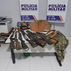 armas apreendidas em Serra Nova Dourada