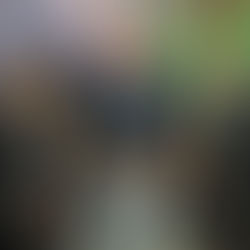 reunião com deputado para combater facções criminosas em Cáceres MT