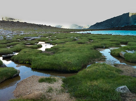 Alpine_Bogs_(4896490163).jpg