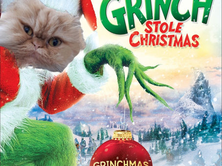 Cat and Chat Merry Christmas Party in December