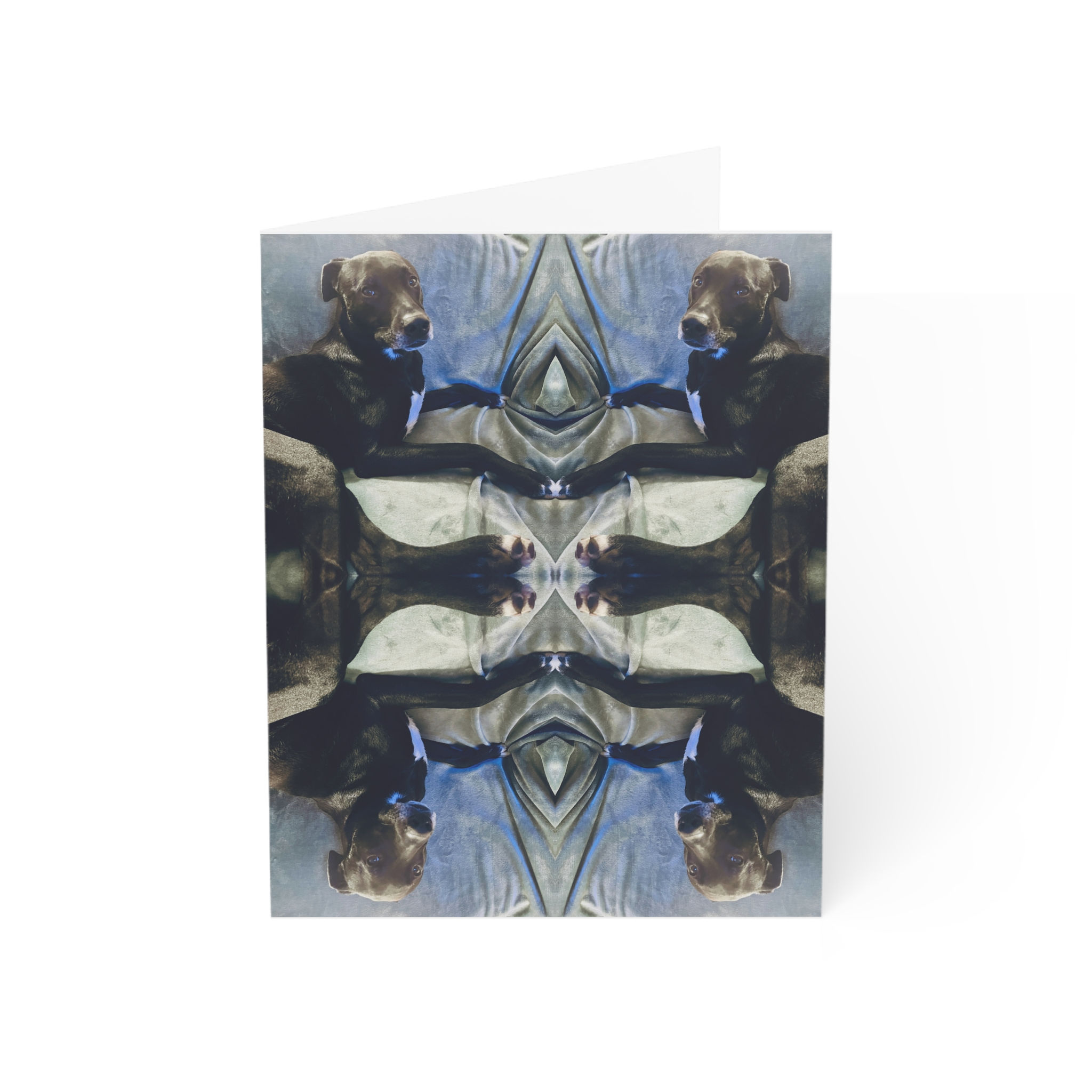 Aspen — 10-Piece Notecard Set