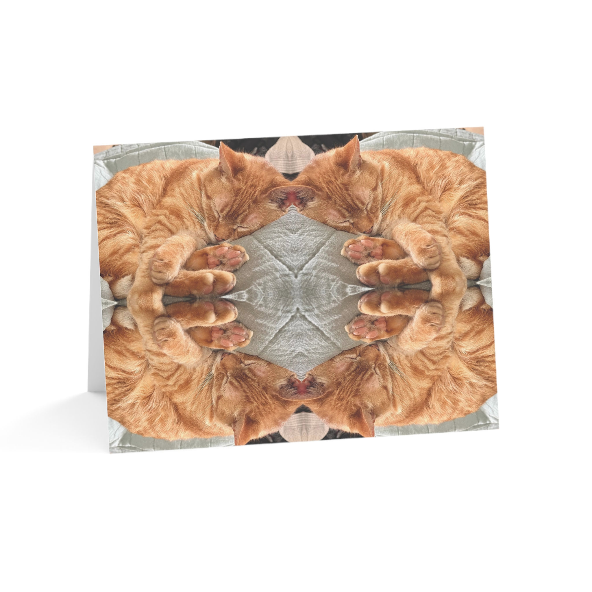 Pip Note Card Set of 10