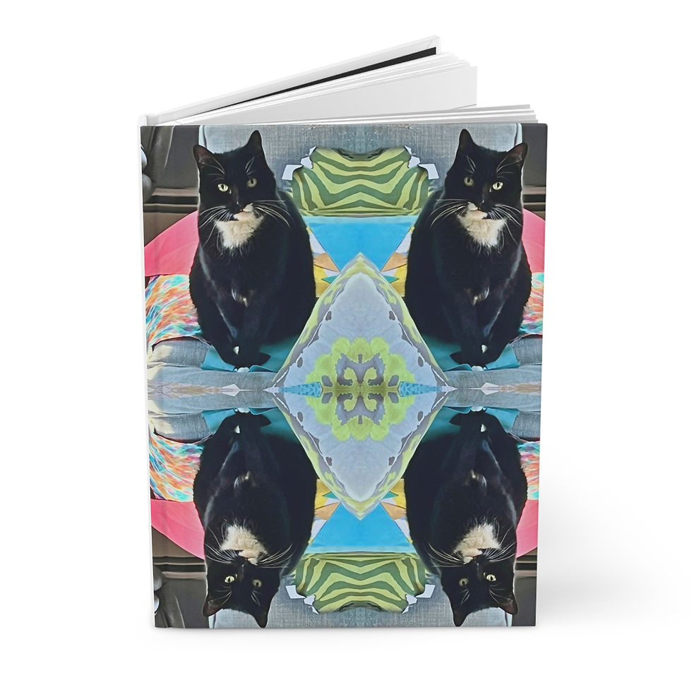 Thumbnail: Luna Hardcover Journal Matte