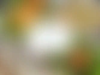 🌷ぽっとお知らせ -4月22日(火)配信-