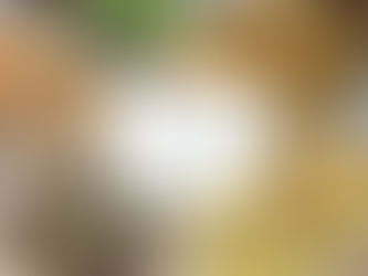 🌷ぽっとお知らせ -4月14日(月)配信-