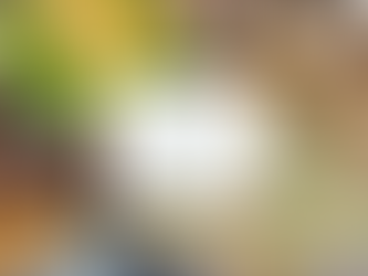 🌷ぽっとお知らせ -10月20日(月)配信-