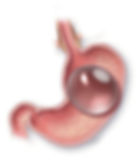 ree