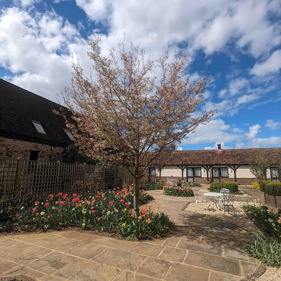 kingfisher bnb 4.jpg