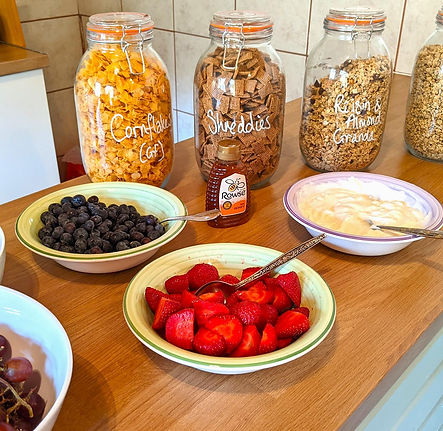 kingfisher bnb 6.jpg