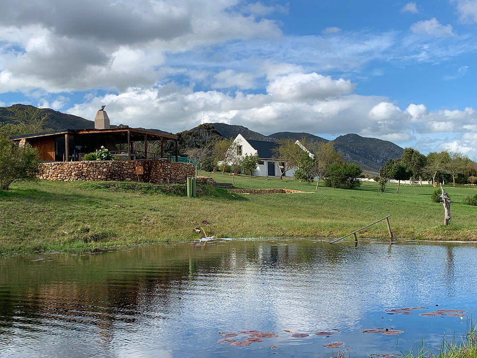 Saurwein Wines Open Day September