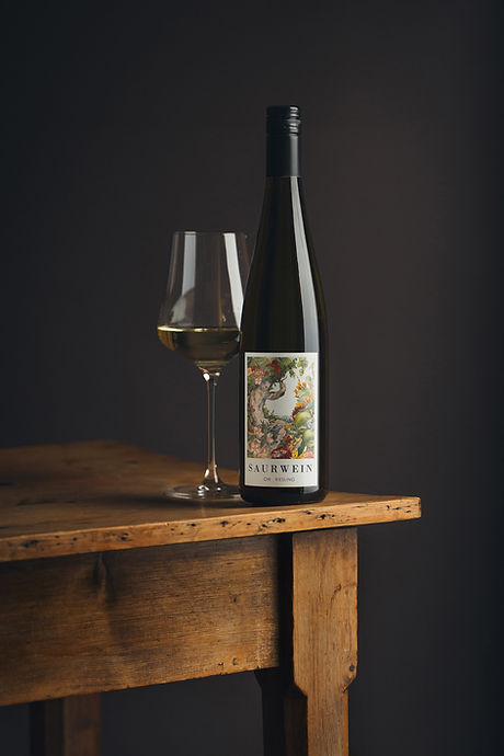 Saurwein_2026_sml-7.jpg