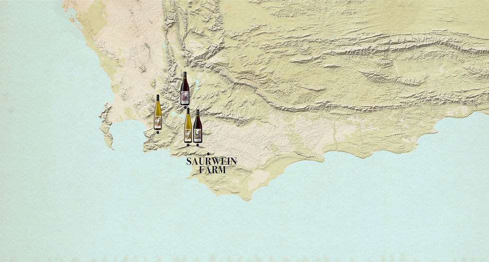 Saurwein_Map_2025-2.jpg