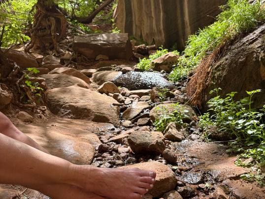 Excerpt from contemplative poem What Was by Barefoot Theology displaying barefeet with a backdrop of a wooded rocky trickle of a creek bed